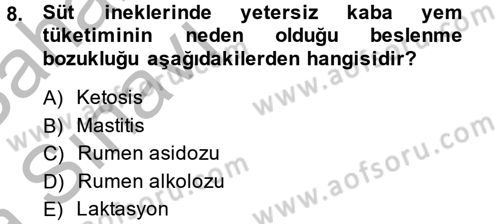 Hayvan Besleme Dersi 2013 - 2014 Yılı (Vize) Ara Sınav Soruları 8. Soru