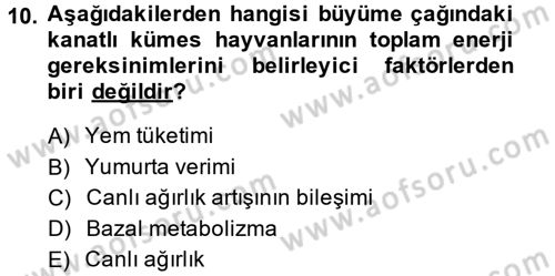 Hayvan Besleme Dersi 2013 - 2014 Yılı (Final) Dönem Sonu Sınav Soruları 10. Soru