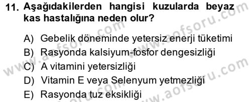 Hayvan Besleme Dersi 2013 - 2014 Yılı (Final) Dönem Sonu Sınav Soruları 11. Soru