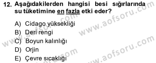 Hayvan Besleme Dersi 2013 - 2014 Yılı (Final) Dönem Sonu Sınav Soruları 12. Soru