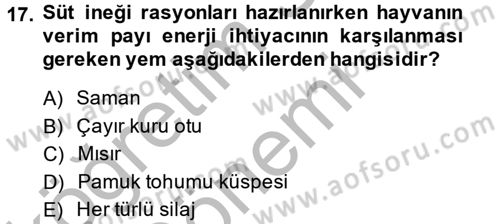 Hayvan Besleme Dersi 2013 - 2014 Yılı (Final) Dönem Sonu Sınav Soruları 17. Soru