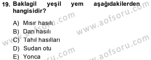 Hayvan Besleme Dersi 2013 - 2014 Yılı (Final) Dönem Sonu Sınav Soruları 19. Soru