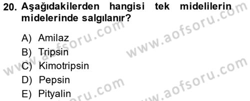 Hayvan Besleme Dersi 2013 - 2014 Yılı (Final) Dönem Sonu Sınav Soruları 20. Soru