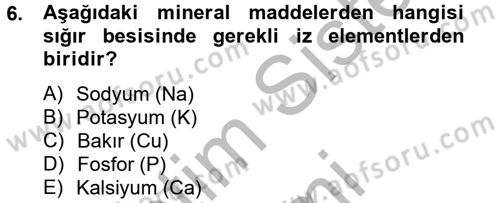 Hayvan Besleme Dersi 2013 - 2014 Yılı (Final) Dönem Sonu Sınav Soruları 6. Soru