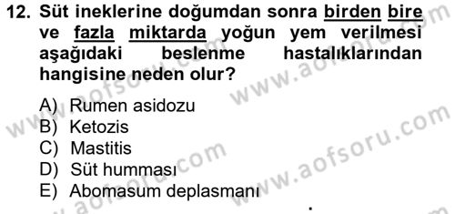 Hayvan Besleme Dersi 2013 - 2014 Yılı Tek Ders Sınav Soruları 12. Soru