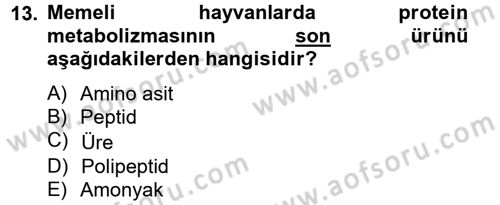 Hayvan Besleme Dersi 2013 - 2014 Yılı Tek Ders Sınav Soruları 13. Soru