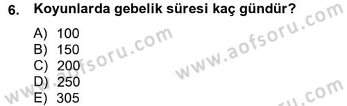 Hayvan Besleme Dersi 2013 - 2014 Yılı Tek Ders Sınav Soruları 6. Soru