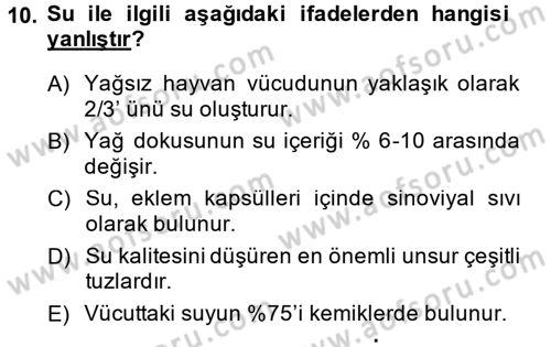 Hayvan Besleme Dersi 2014 - 2015 Yılı (Vize) Ara Sınav Soruları 10. Soru