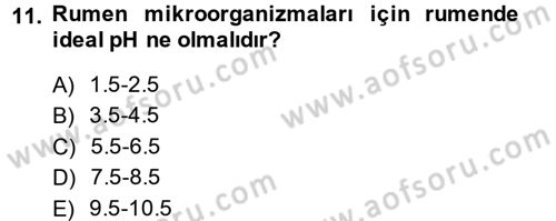 Hayvan Besleme Dersi 2014 - 2015 Yılı (Vize) Ara Sınav Soruları 11. Soru