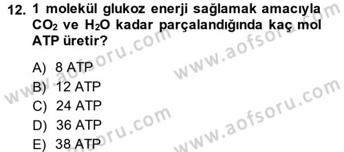 Hayvan Besleme Dersi 2014 - 2015 Yılı (Vize) Ara Sınav Soruları 12. Soru