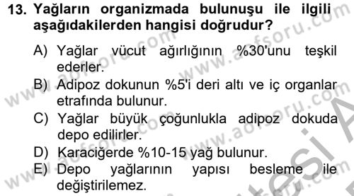 Hayvan Besleme Dersi 2014 - 2015 Yılı (Vize) Ara Sınav Soruları 13. Soru