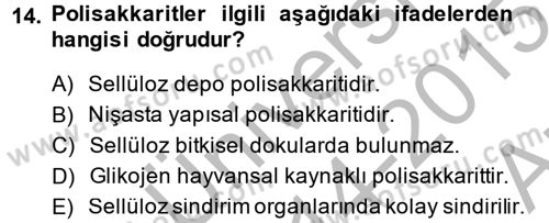 Hayvan Besleme Dersi 2014 - 2015 Yılı (Vize) Ara Sınav Soruları 14. Soru