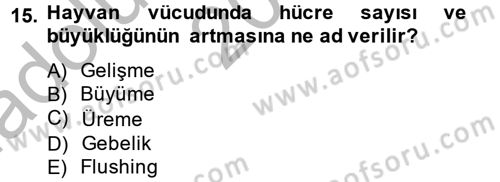 Hayvan Besleme Dersi 2014 - 2015 Yılı (Vize) Ara Sınav Soruları 15. Soru