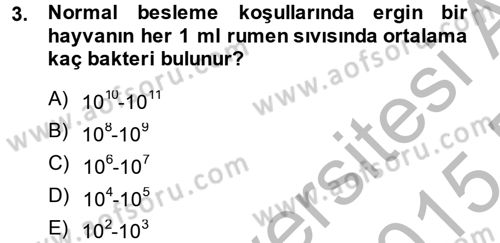 Hayvan Besleme Dersi 2014 - 2015 Yılı (Vize) Ara Sınav Soruları 3. Soru