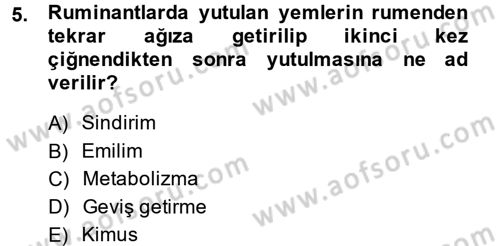 Hayvan Besleme Dersi 2014 - 2015 Yılı (Vize) Ara Sınav Soruları 5. Soru