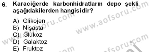Hayvan Besleme Dersi 2014 - 2015 Yılı (Vize) Ara Sınav Soruları 6. Soru