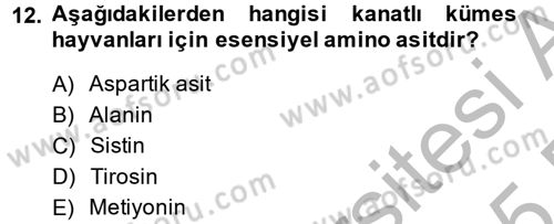 Hayvan Besleme Dersi 2014 - 2015 Yılı (Final) Dönem Sonu Sınav Soruları 12. Soru