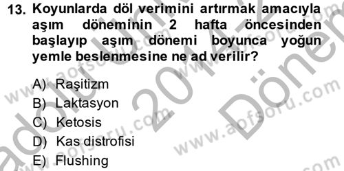 Hayvan Besleme Dersi 2014 - 2015 Yılı (Final) Dönem Sonu Sınav Soruları 13. Soru