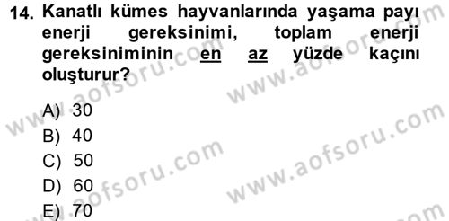 Hayvan Besleme Dersi 2014 - 2015 Yılı (Final) Dönem Sonu Sınav Soruları 14. Soru
