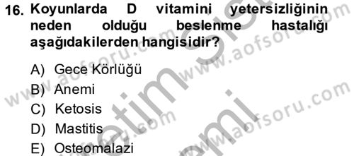 Hayvan Besleme Dersi 2014 - 2015 Yılı (Final) Dönem Sonu Sınav Soruları 16. Soru