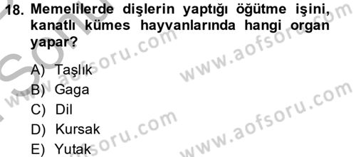 Hayvan Besleme Dersi 2014 - 2015 Yılı (Final) Dönem Sonu Sınav Soruları 18. Soru