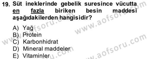 Hayvan Besleme Dersi 2014 - 2015 Yılı (Final) Dönem Sonu Sınav Soruları 19. Soru