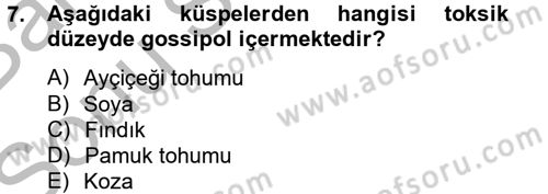 Hayvan Besleme Dersi 2014 - 2015 Yılı (Final) Dönem Sonu Sınav Soruları 7. Soru