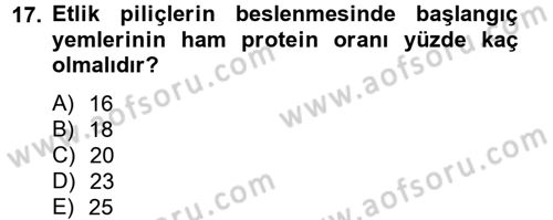 Hayvan Besleme Dersi 2014 - 2015 Yılı Tek Ders Sınavı 17. Soru