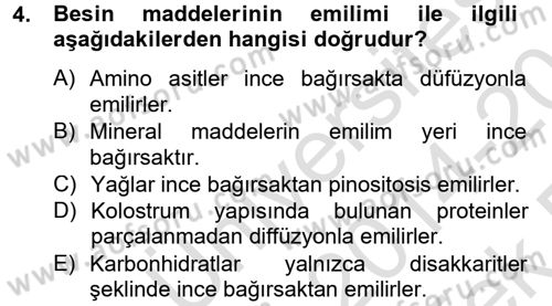 Hayvan Besleme Dersi 2014 - 2015 Yılı Tek Ders Sınav Soruları 4. Soru