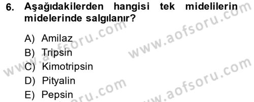 Hayvan Besleme Dersi 2014 - 2015 Yılı Tek Ders Sınav Soruları 6. Soru