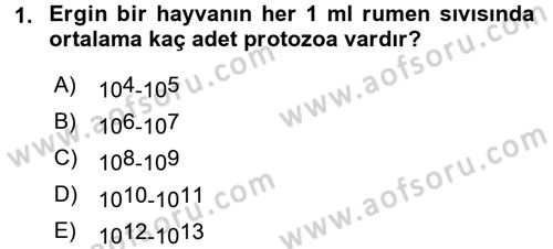 Hayvan Besleme Dersi 2015 - 2016 Yılı (Vize) Ara Sınav Soruları 1. Soru