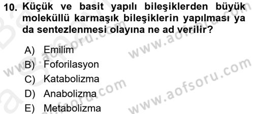 Hayvan Besleme Dersi 2015 - 2016 Yılı (Vize) Ara Sınav Soruları 10. Soru