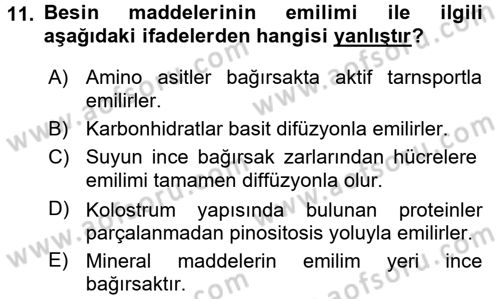 Hayvan Besleme Dersi 2015 - 2016 Yılı (Vize) Ara Sınav Soruları 11. Soru