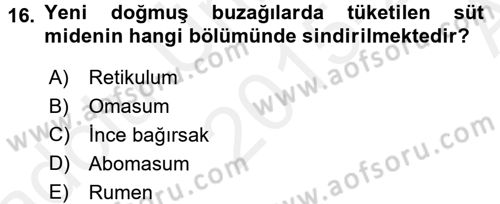 Hayvan Besleme Dersi 2015 - 2016 Yılı (Vize) Ara Sınav Soruları 16. Soru