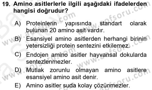 Hayvan Besleme Dersi 2015 - 2016 Yılı (Vize) Ara Sınav Soruları 19. Soru