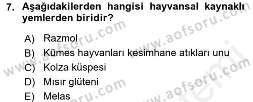 Hayvan Besleme Dersi 2015 - 2016 Yılı (Vize) Ara Sınav Soruları 7. Soru