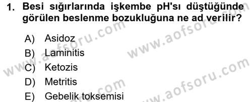 Hayvan Besleme Dersi 2015 - 2016 Yılı (Final) Dönem Sonu Sınav Soruları 1. Soru