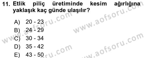 Hayvan Besleme Dersi 2015 - 2016 Yılı (Final) Dönem Sonu Sınav Soruları 11. Soru