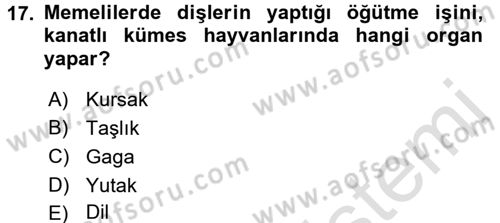 Hayvan Besleme Dersi 2015 - 2016 Yılı (Final) Dönem Sonu Sınav Soruları 17. Soru