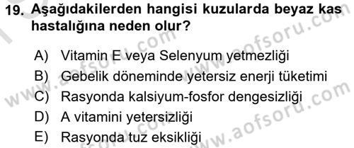 Hayvan Besleme Dersi 2015 - 2016 Yılı (Final) Dönem Sonu Sınav Soruları 19. Soru