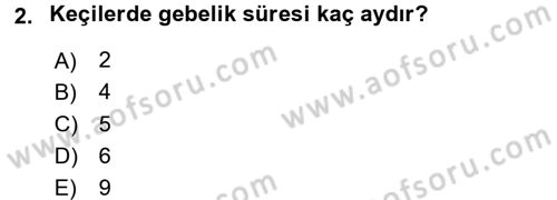 Hayvan Besleme Dersi 2015 - 2016 Yılı (Final) Dönem Sonu Sınav Soruları 2. Soru