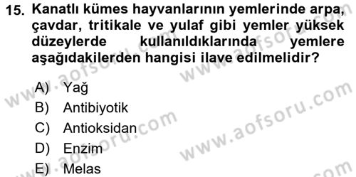 Hayvan Besleme Dersi 2015 - 2016 Yılı Tek Ders Sınav Soruları 15. Soru