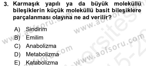 Hayvan Besleme Dersi 2015 - 2016 Yılı Tek Ders Sınavı 3. Soru