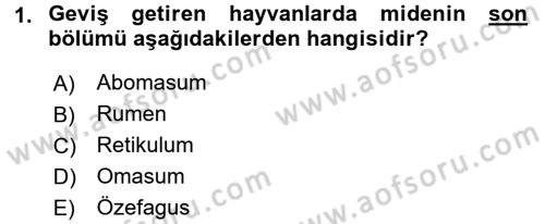 Hayvan Besleme Dersi 2016 - 2017 Yılı 3 Ders Sınavı 1. Soru