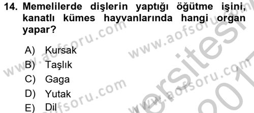 Hayvan Besleme Dersi 2016 - 2017 Yılı 3 Ders Sınav Soruları 14. Soru