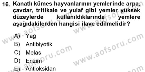 Hayvan Besleme Dersi 2016 - 2017 Yılı 3 Ders Sınav Soruları 16. Soru