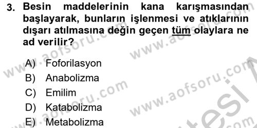 Hayvan Besleme Dersi 2016 - 2017 Yılı 3 Ders Sınav Soruları 3. Soru