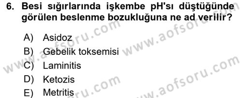 Hayvan Besleme Dersi 2016 - 2017 Yılı 3 Ders Sınav Soruları 6. Soru