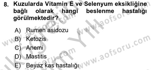 Hayvan Besleme Dersi 2016 - 2017 Yılı 3 Ders Sınav Soruları 8. Soru