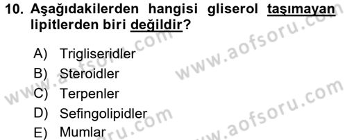 Hayvan Besleme Dersi 2016 - 2017 Yılı (Vize) Ara Sınav Soruları 10. Soru